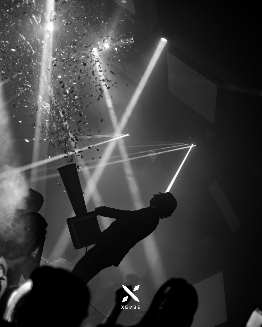 Foto de la galería 1